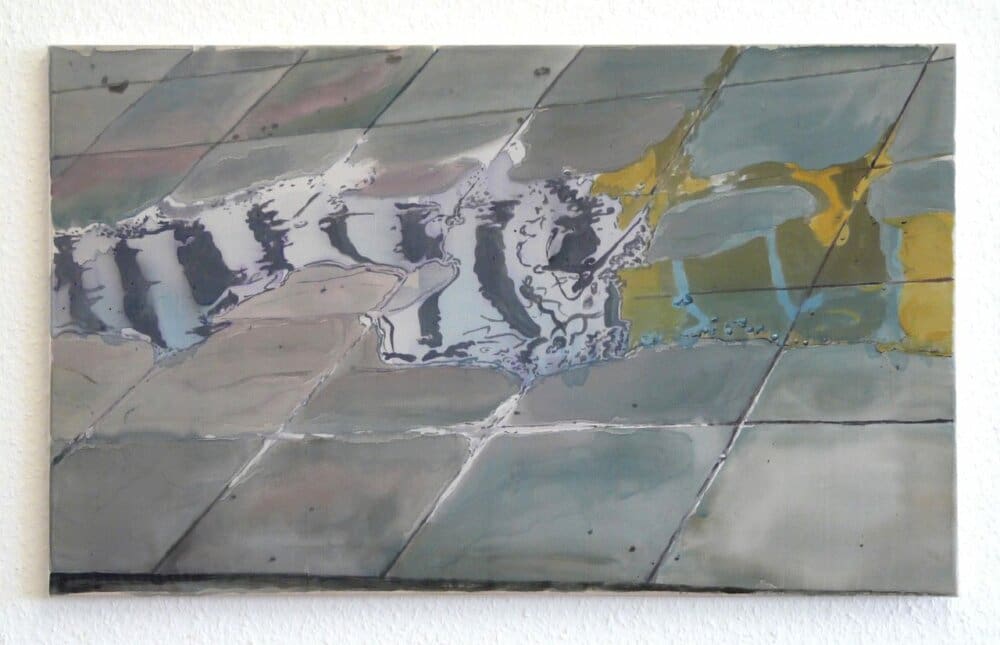 Arjan van Helmond, Puddle, 2012,46×76, gouache acryli on silk