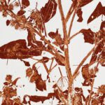 Piet Dieleman, Herbarium, We Like Art, 05.12.716 2