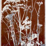 Piet Dieleman, Herbarium, We Like Art, 05.12.720