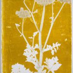 Piet Dieleman, Herbarium, We Like Art, 05.12.732