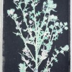Piet Dieleman, Herbarium, We Like Art, 05.12.736