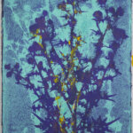 Piet Dieleman, Herbarium, We Like Art, DSC02503-1